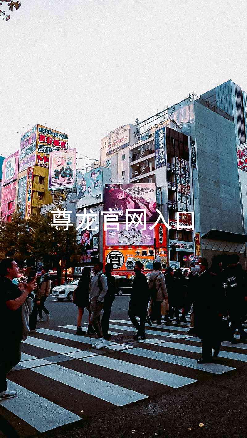 尊龙官网入口