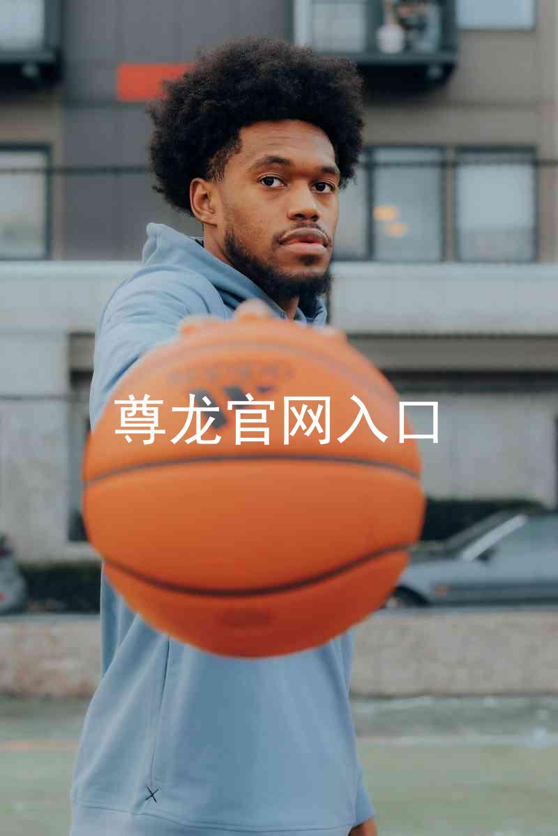 尊龙官网入口