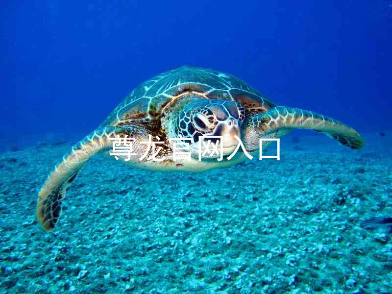 尊龙官网入口