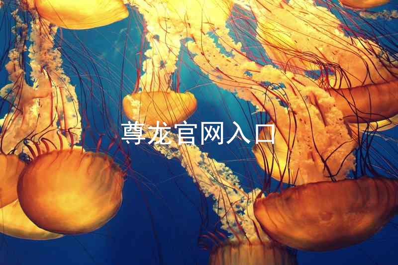 尊龙官网入口