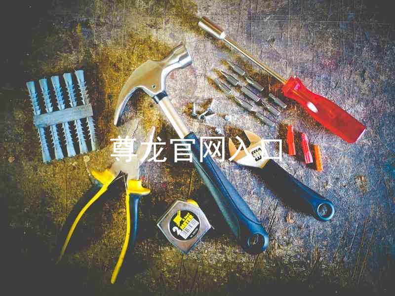 尊龙官网入口