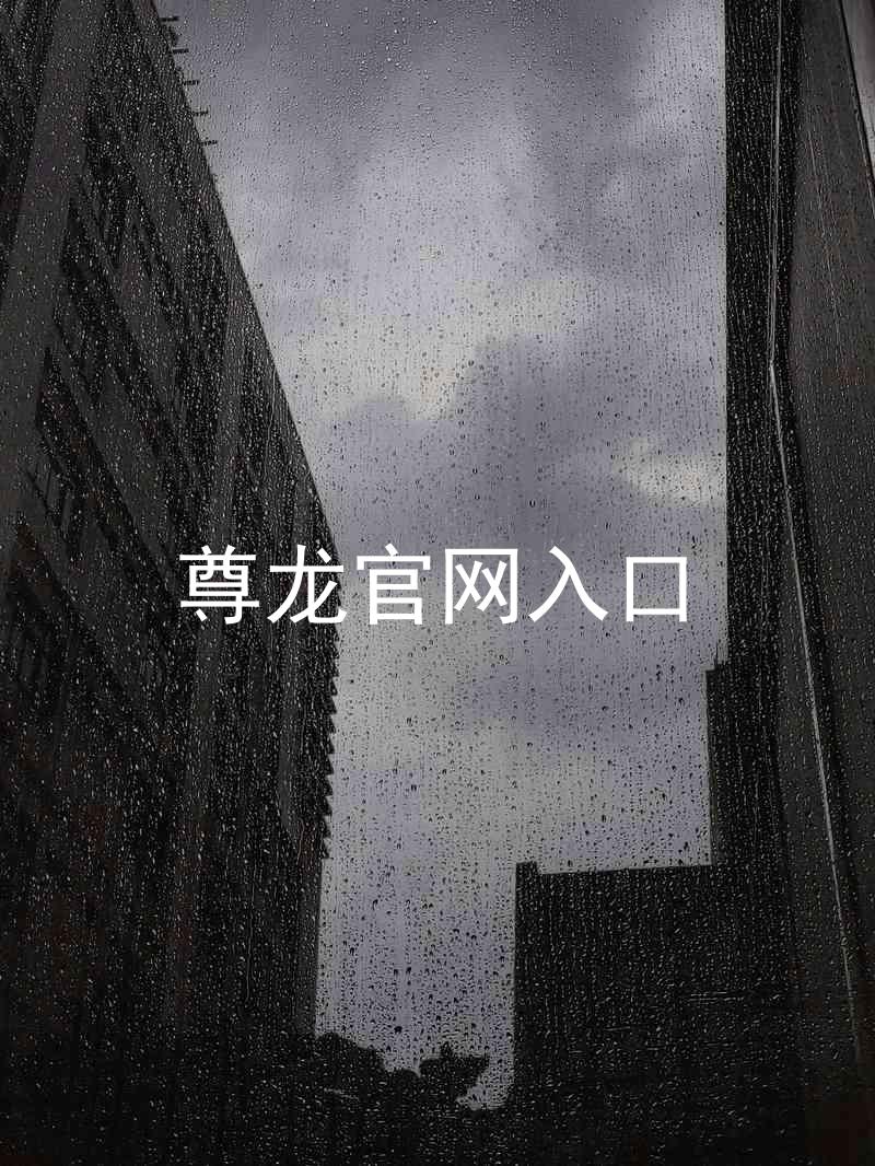 尊龙官网入口