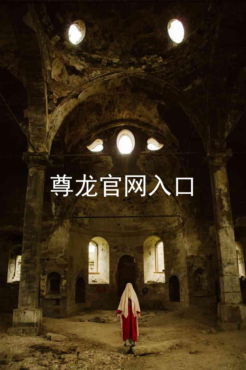 尊龙官网入口