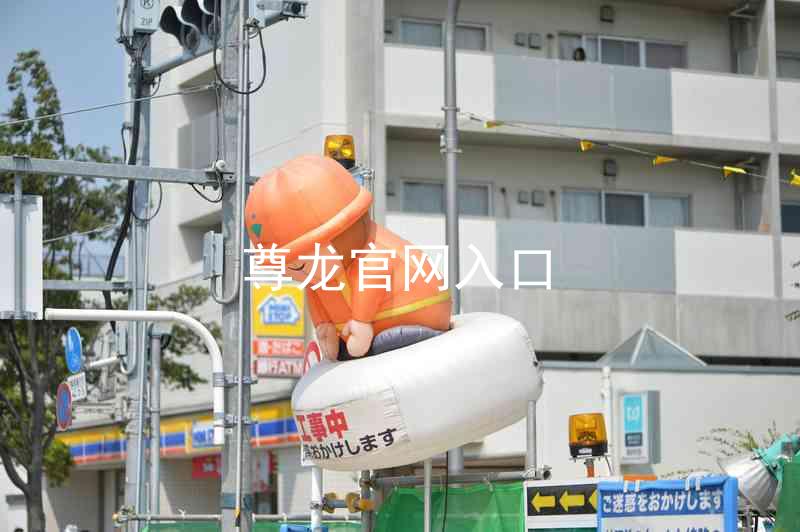 尊龙官网入口