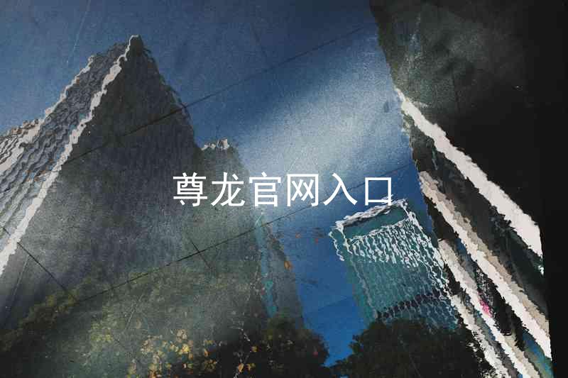 尊龙官网入口