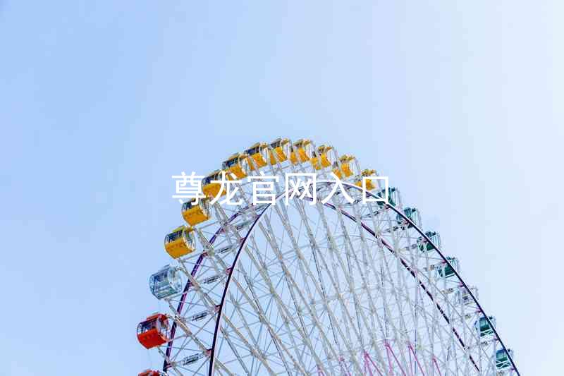 尊龙官网入口