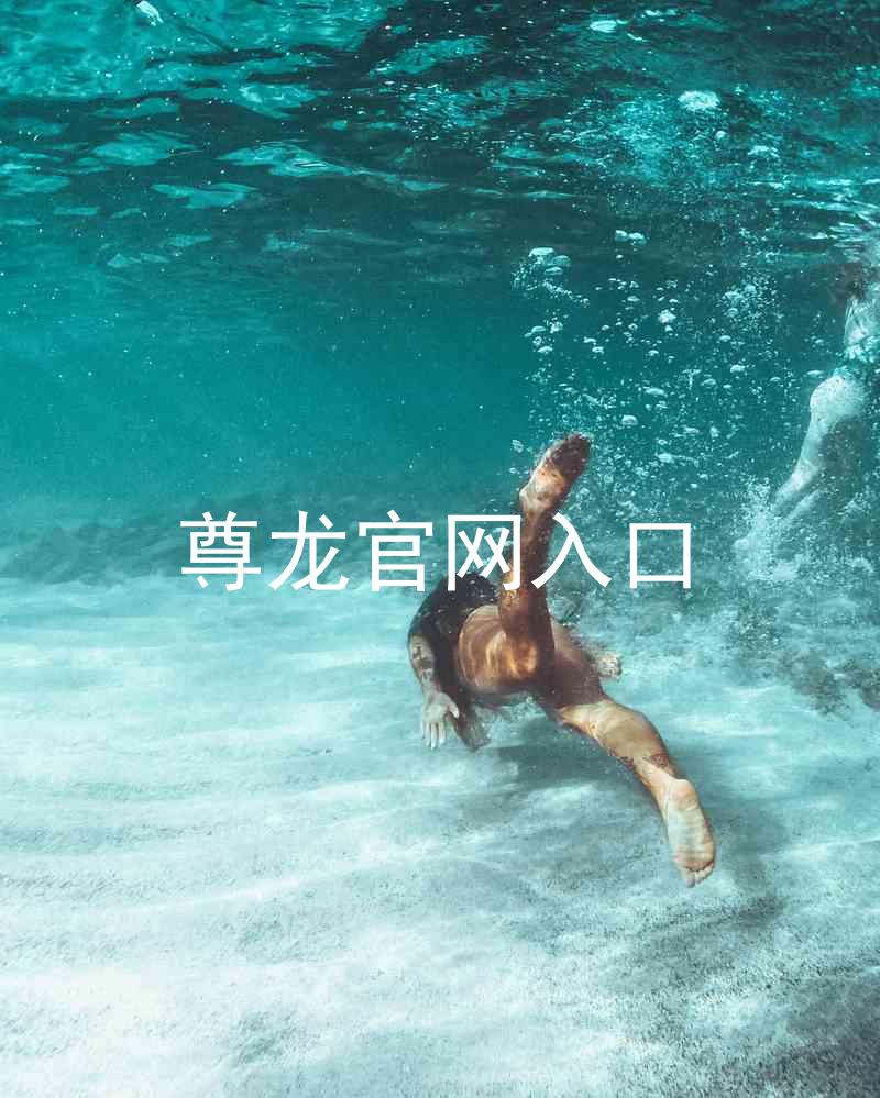 尊龙官网入口